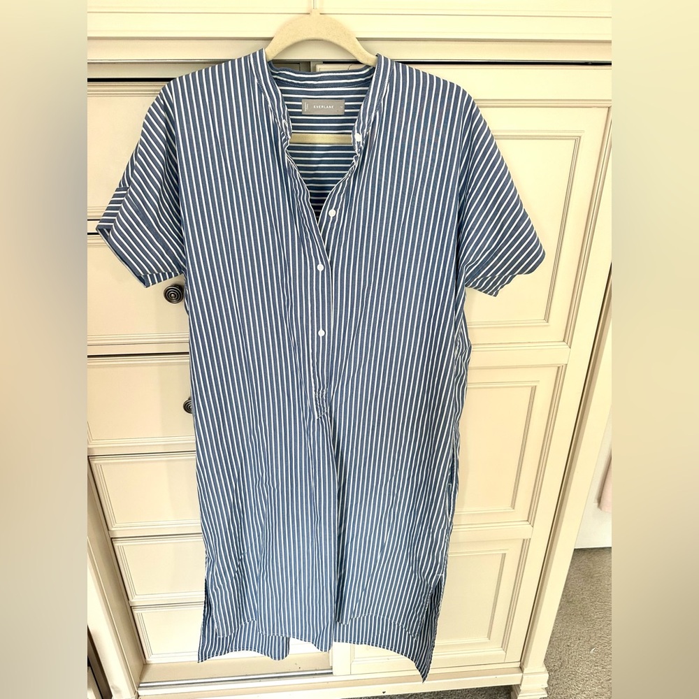 Everlane Striped Cotton Poplin Shirt Dress